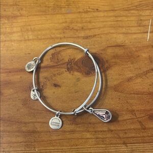 Alex and Ani Silver Charm Bracelet with Purple Stone